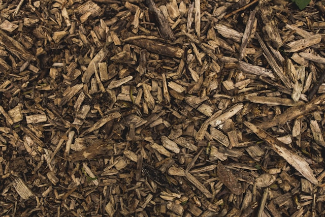 forestry_mulching